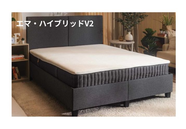 エマハイブリッドV2の画像