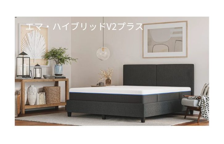 エマハイブリッドV2プラスの画像