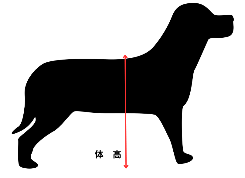 体高を示す図