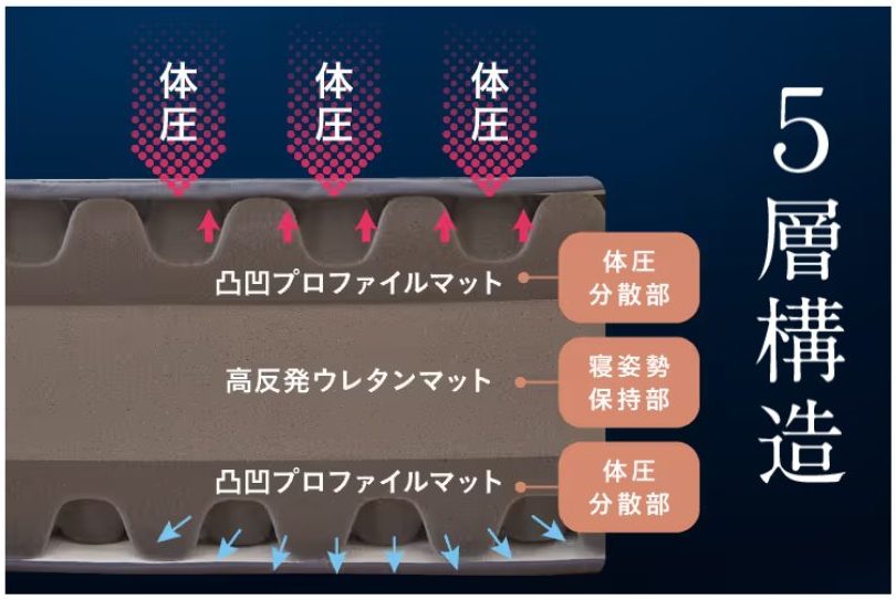 5層構造を示す画像