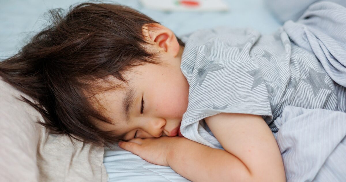 アイキャッチ画像 エアウィーヴはダニ対策が手間いらず！ダニが寄り付かないマットレスの強みとは