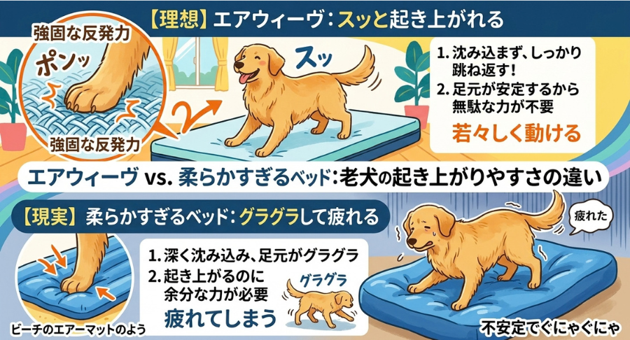 老犬でもスッと立ち上がりやすい理由を示す図