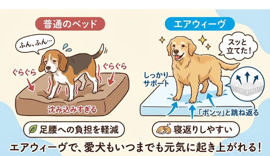 エアウィーヴなら老犬でもすっと立ちやすいのを示す図
