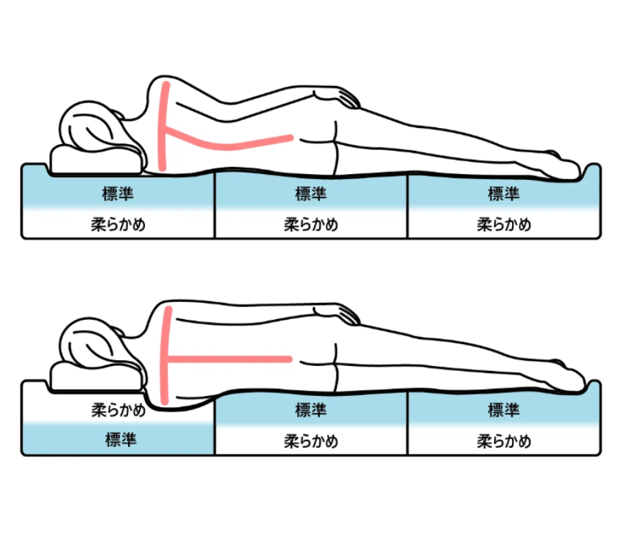 硬さの違いによる体の曲がり具合を示す図